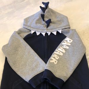 Gymboree Boys Dinosaur Zip Hoodie 5T